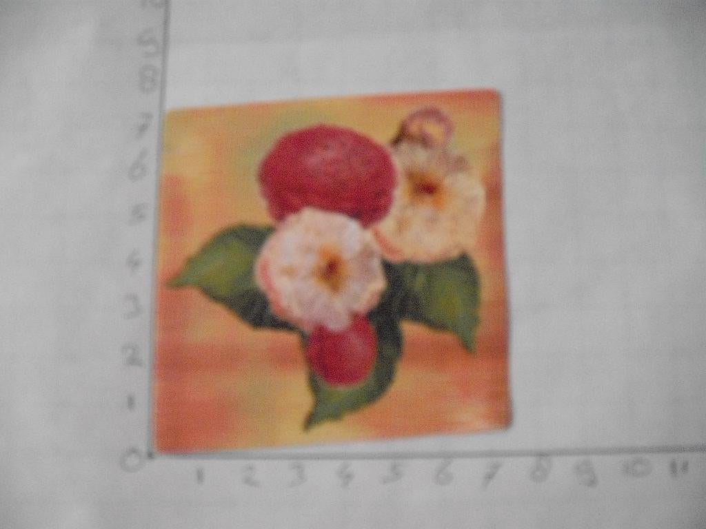 nr. 68 - uitgeknipt 3d plaatje, Hobby en Vrije tijd, Kaarten | Zelf maken, Ophalen of Verzenden, Nieuw, Overige thema's, Knipvel