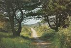 DWINGELOO Landschap Fietspad, Verzenden, 1960 tot 1980, Gelopen, Drenthe