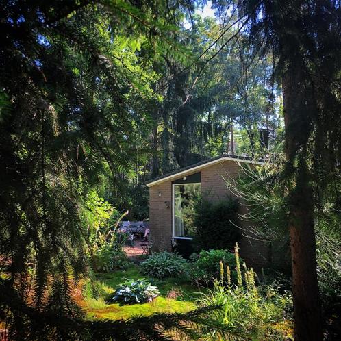 vakantie huisje huren Holten (Overijssel), Vakantie, Vakantiehuizen | Nederland, Overijssel, Overige typen, Landelijk, In bos