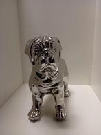 Engelse bulldog, Ophalen of Verzenden, Nieuw, Overige typen