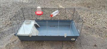 Konijnen en cavia kooi beschikbaar voor biedingen