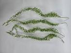 Kunstplanten | Hangplant | 4 Stuks, Huis en Inrichting, Woonaccessoires | Kunstplanten en Kunstbloemen, Ophalen of Verzenden, Nieuw
