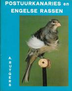 Postuurkanaries en Engelse rassen - A. Rutgers, Ophalen of Verzenden, Zo goed als nieuw, Vogels