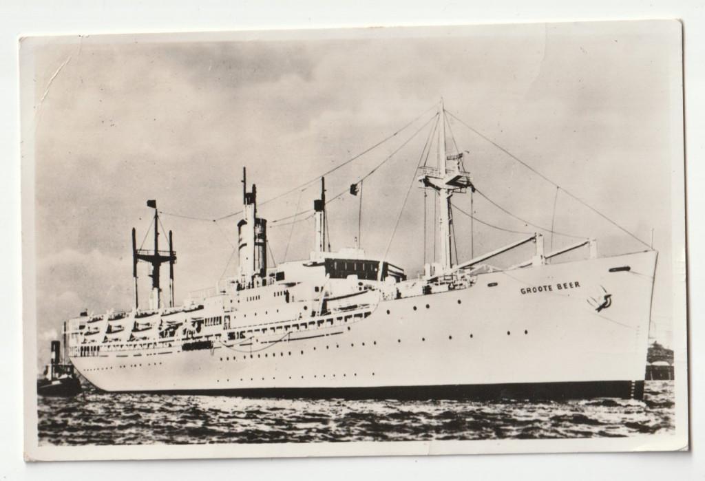 Groote Beer schip Holland Amerika Lijn H.A.L. 1955 ansicht, Gebruikt, Verzenden, Kaart, Foto of Prent, X