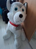 Grote knuffel hond, Ophalen, Zo goed als nieuw, Hond