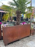 Grote Corten stalen plantenbak, Overige materialen, Gebruikt, 100 cm of meer, Ophalen of Verzenden