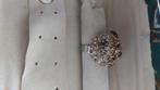RING: zilverkleuring*bolvorm met bruine en roze strass steen, Gebruikt, IJzer of Staal, 19 tot 20, Ophalen of Verzenden