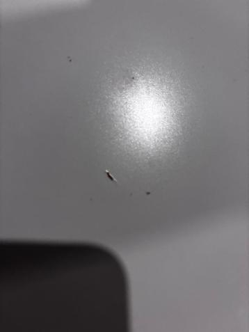 MALM Bureau met uittrekblad - 151x65 cm - afbeelding 2