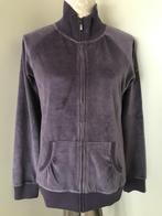 Paars Velours Vest met Rits van Hunkemöller, Kleding | Dames, Pyjama's, Hunkemöller, Ophalen of Verzenden, Zo goed als nieuw, Maat 38/40 (M)