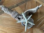 Drijfhout decoratie met zeester en schelp, Huis en Inrichting, Ophalen of Verzenden, Gebruikt