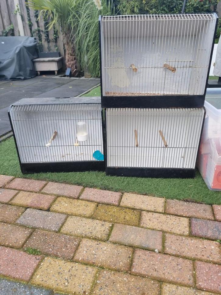 Grote tt kooien, Dieren en Toebehoren, Vogels | Hokken en Kooien, Gebruikt, Vogelkooi, Hout, Ophalen