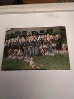 DE BABBELAARS.  ZEEUWSE KLEDERDRACHT, Ophalen of Verzenden, Klederdracht