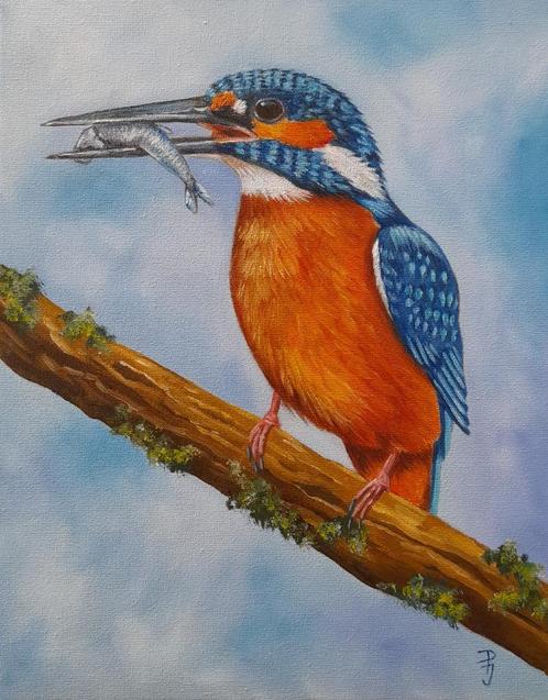 schilderij ijsvogel 226 eigen werk - origineel cadeau vogel, Antiek en Kunst, Kunst | Schilderijen | Modern, Ophalen of Verzenden