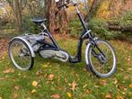 Electrische driewieler: Van Raam Maxi Comfort, Fietsen en Brommers, Fietsen | Driewielfietsen, Ophalen of Verzenden, Gebruikt