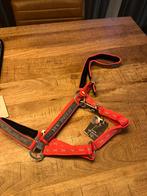 HV polo halter nieuw, Dieren en Toebehoren, Ophalen of Verzenden, Nieuw, Overige soorten