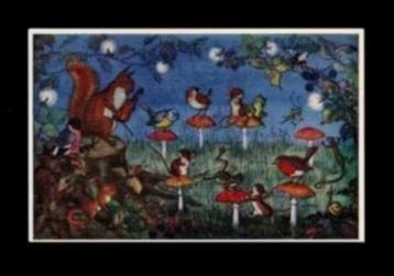 Eekhoorn Vogels Muis Kikker Paddestoelen Molly Brett. beschikbaar voor biedingen