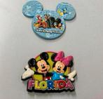 2 disney koelkast magneet 2010 walt disney world + florida, Overige typen, Ophalen of Verzenden, Zo goed als nieuw, H