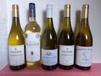 5 Witte Wijnen ., Nieuw, Rode wijn, Frankrijk, Ophalen of Verzenden