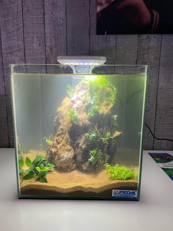 Een mooi nano aquarium inclusief filter, verlichting, grind, Dieren en Toebehoren, Vissen | Aquaria en Toebehoren, Zo goed als nieuw