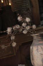 Herfst pompom twijg, Www.jufbrocante.nl, Www.jufbrocante.nl, Nieuw, Ophalen of Verzenden