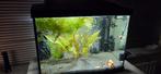 Compleet Tropisch Zoetwater Aquarium zwart., Ophalen of Verzenden, Zo goed als nieuw, Gevuld zoetwateraquarium