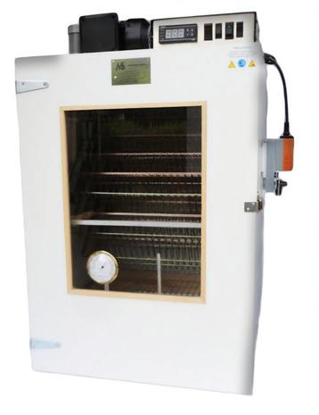 Broedservice eieren beschikbaar voor biedingen