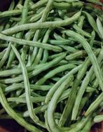 Cobra sperziebonen zaden uit biologische tuin, Ophalen of Verzenden, Voorjaar, Volle zon, Zaad