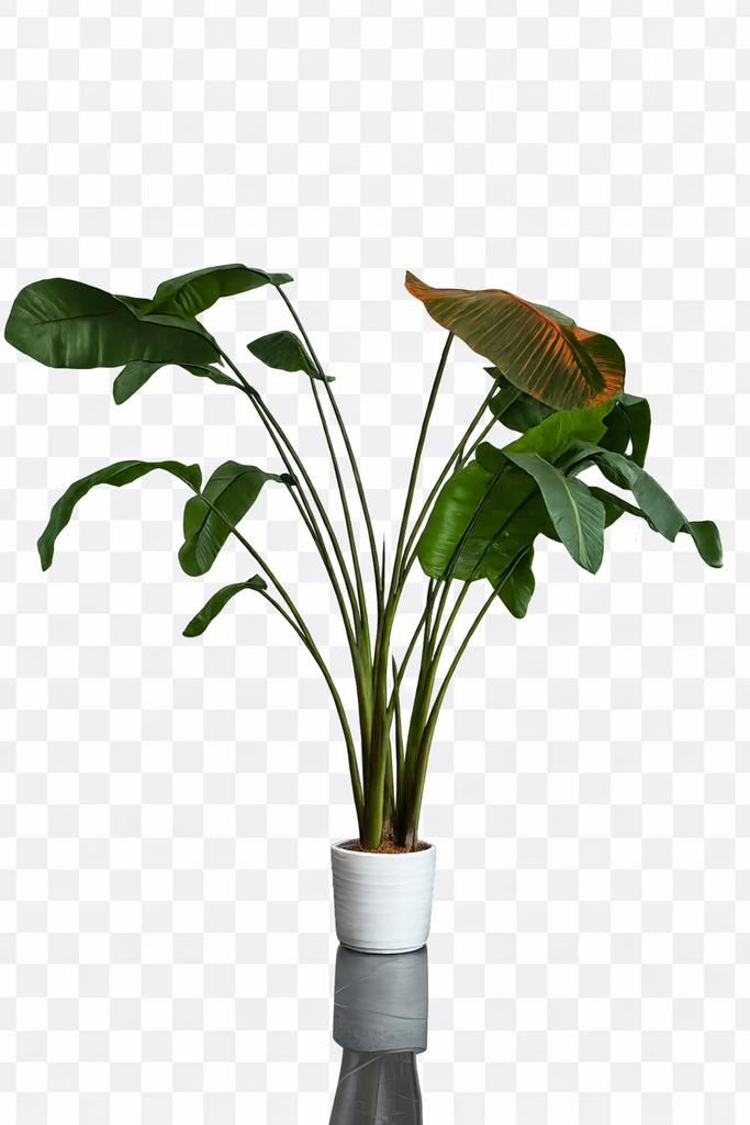 GROTE  Strelitzia Nicolai (Paradijsvogelplant), Huis en Inrichting, Woonaccessoires | Kunstplanten en Kunstbloemen, Zo goed als nieuw