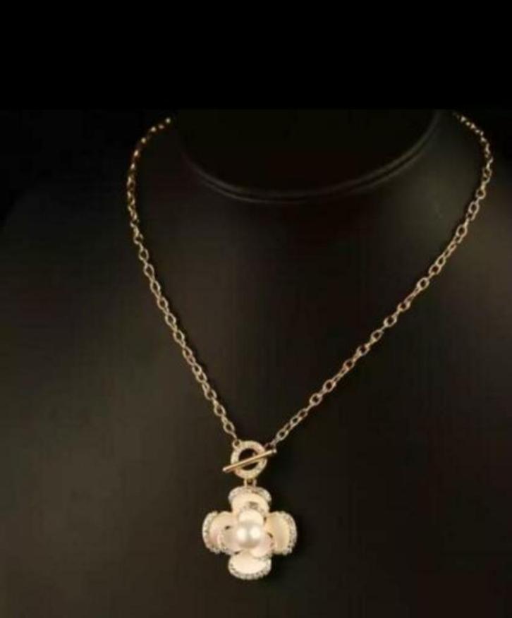 ROZEN Ketting, NIEUW! Mooie CADEAUTIP!, Sieraden, Tassen en Uiterlijk, Kettingen, Nieuw, Overige materialen, Overige kleuren, Verzenden