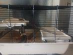 Hamster kooi, Minder dan 60 cm, Kooi, Minder dan 75 cm, Ophalen of Verzenden