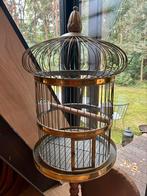 Prachtige antieke messing papegaaienkooi, Dieren en Toebehoren, Vogels | Parkieten en Papegaaien, Geslacht onbekend, Papegaai