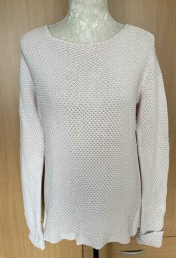 Alpha trui maat L beschikbaar voor biedingen