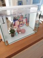 Aquarium, Dieren en Toebehoren, Ophalen of Verzenden, Gebruikt, Leeg aquarium