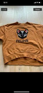 Sweater  kat feline one size, Ophalen of Verzenden, Zo goed als nieuw, Maat 38/40 (M)