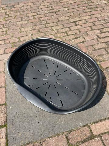 Hondenmand beschikbaar voor biedingen