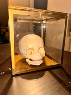 Medische schedel van (baby) foetus in glazen stolp., Verzenden