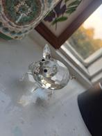 Swarovski Varken Middel (gepensioneerd), Ophalen of Verzenden, Zo goed als nieuw