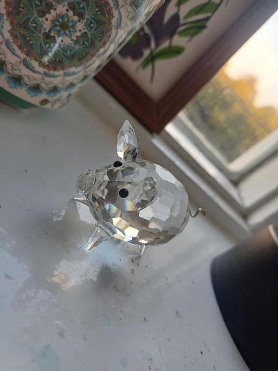 Swarovski Varken Middel (gepensioneerd), Verzamelen, Swarovski, Zo goed als nieuw, Ophalen of Verzenden