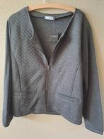 VESTJE GRIJS. NIEUW. XL. NIEUW., Maat 46/48 (XL) of groter, Nieuw, Ophalen of Verzenden, True Spirit