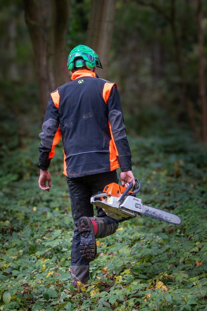 Boomverzorger nodig? Bomen kappen/snoeien, Diensten en Vakmensen, Aannemers