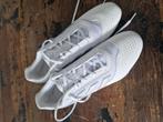 Adidas Predator binnengym zaalschoen mt 47, Ophalen of Verzenden, Zo goed als nieuw, Schoenen