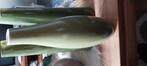 Prachtige groene vazen, Ophalen of Verzenden, Minder dan 50 cm, Groen, Glas