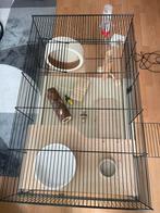 Hamsterhok met glazen onderkant inclusief accessoires, Kooi, Minder dan 75 cm, Hamster, Ophalen