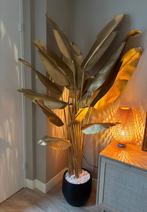 Strelitzia Goud (paradijsvogelplant) | 182 cm, Ophalen, Zo goed als nieuw, Binnen