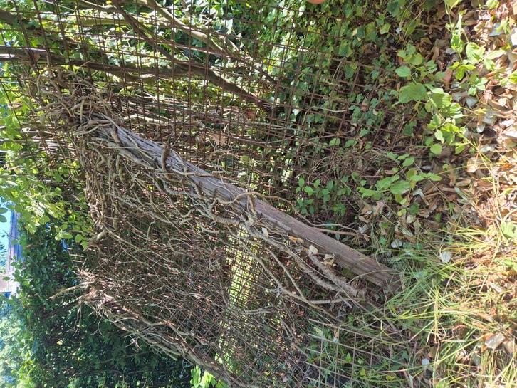 Gratis ophalen betonraster? Tuinscherm/ oud ijzer, Tuin en Terras, Gaas en Draad, Gebruikt, Minder dan 10 meter, Ophalen