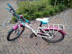 Loekie meisjesfiets 20 inch, Fietsen en Brommers, Ophalen, Gebruikt, 20 inch, Loekie (Foxy lady)