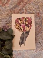 Botanische ansichtkaart. "Tulp wit/zwart/lila- Nr. 7"., Verzenden, Nieuw