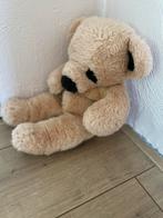 Teddy beer, Ophalen of Verzenden, Gebruikt, Beer