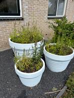 3 grote stenen bloempotten incl beplanting, Tuin en Terras, Bloempotten, Ophalen, Steen, 40 cm of meer, Tuin