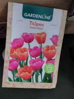 Tulpen bollen, Ophalen of Verzenden, Bloembol, Najaar, Volle zon